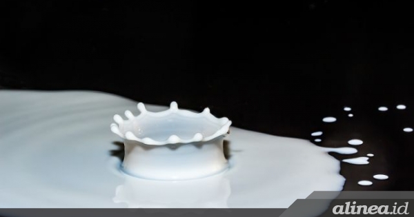 Dianjurkan menyusui daripada memberi bayi ASI&nbsp;bubuk