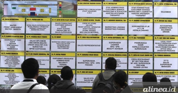 Benarkah banyak gen Z menganggur karena salah jurusan?