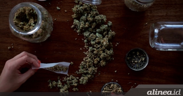 Pertama kali di AS, penggunaan mariyuana melebihi minuman&nbsp;beralkohol